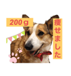 suzuの日々（個別スタンプ：6）