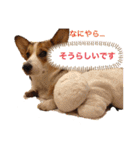 suzuの日々（個別スタンプ：8）