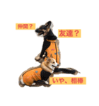 suzuの日々（個別スタンプ：9）