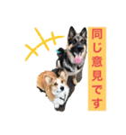 suzuの日々（個別スタンプ：10）