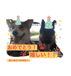 suzuの日々（個別スタンプ：13）