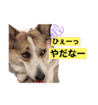 suzuの日々（個別スタンプ：14）
