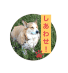 suzuの日々（個別スタンプ：15）