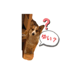 suzuの日々（個別スタンプ：18）