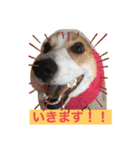 suzuの日々（個別スタンプ：21）