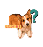 suzuの日々（個別スタンプ：22）
