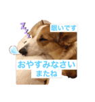 suzuの日々（個別スタンプ：23）