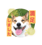suzuの日々（個別スタンプ：24）