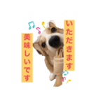 suzuの日々（個別スタンプ：25）