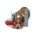 suzuの日々（個別スタンプ：26）