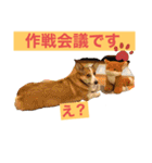 suzuの日々（個別スタンプ：29）
