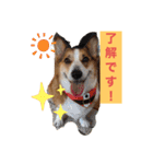 suzuの日々（個別スタンプ：30）