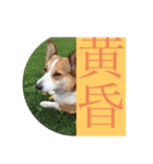 suzuの日々（個別スタンプ：31）