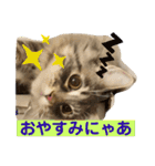 イケニャンなのにビビリなマシェリ（個別スタンプ：26）