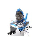 ブルーピョンパルス クラウド隊長（個別スタンプ：1）