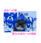 ブルーピョンパルス クラウド隊長（個別スタンプ：9）