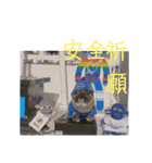 ブルーピョンパルス クラウド隊長（個別スタンプ：10）