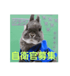 ブルーピョンパルス クラウド隊長（個別スタンプ：11）