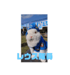 ブルーピョンパルス クラウド隊長（個別スタンプ：15）