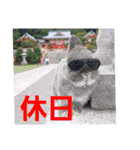 ブルーピョンパルス クラウド隊長（個別スタンプ：16）