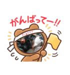 愛犬を、LINEスタンプにしてみた改（個別スタンプ：13）