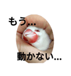 あいつはトリ（個別スタンプ：6）