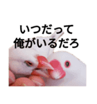 あいつはトリ（個別スタンプ：7）