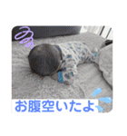 「こうくん」のスタンプ 2（個別スタンプ：23）