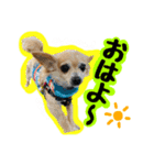 AXSY バナナ＆ポンズ（個別スタンプ：1）