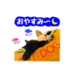 AXSY バナナ＆ポンズ（個別スタンプ：4）