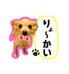 AXSY バナナ＆ポンズ（個別スタンプ：10）