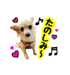 AXSY バナナ＆ポンズ（個別スタンプ：13）