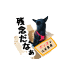 AXSY バナナ＆ポンズ（個別スタンプ：14）