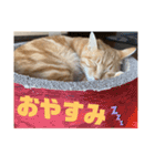 みかんとおかか！（個別スタンプ：2）