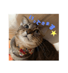 みかんとおかか！（個別スタンプ：3）