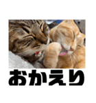 みかんとおかか！（個別スタンプ：5）