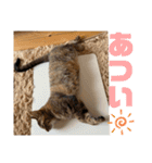 みかんとおかか！（個別スタンプ：16）