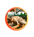獣医さんの連れ子たち。（個別スタンプ：12）