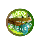 獣医さんの連れ子たち。（個別スタンプ：25）