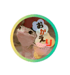 獣医さんの連れ子たち。（個別スタンプ：26）