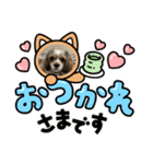 マリ0502（個別スタンプ：1）
