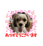 マリ0502（個別スタンプ：2）
