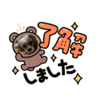 マリ0502（個別スタンプ：5）
