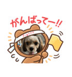 マリ0502（個別スタンプ：6）
