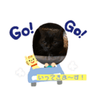 にゃんこの日常パート3（個別スタンプ：3）