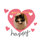 にゃんこの日常パート3（個別スタンプ：4）