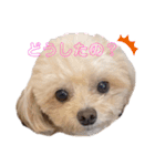 倉松さん家のポワンくん（個別スタンプ：2）