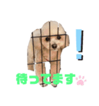 倉松さん家のポワンくん（個別スタンプ：7）