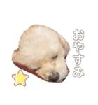 倉松さん家のポワンくん（個別スタンプ：8）