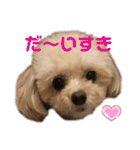 倉松さん家のポワンくん（個別スタンプ：14）